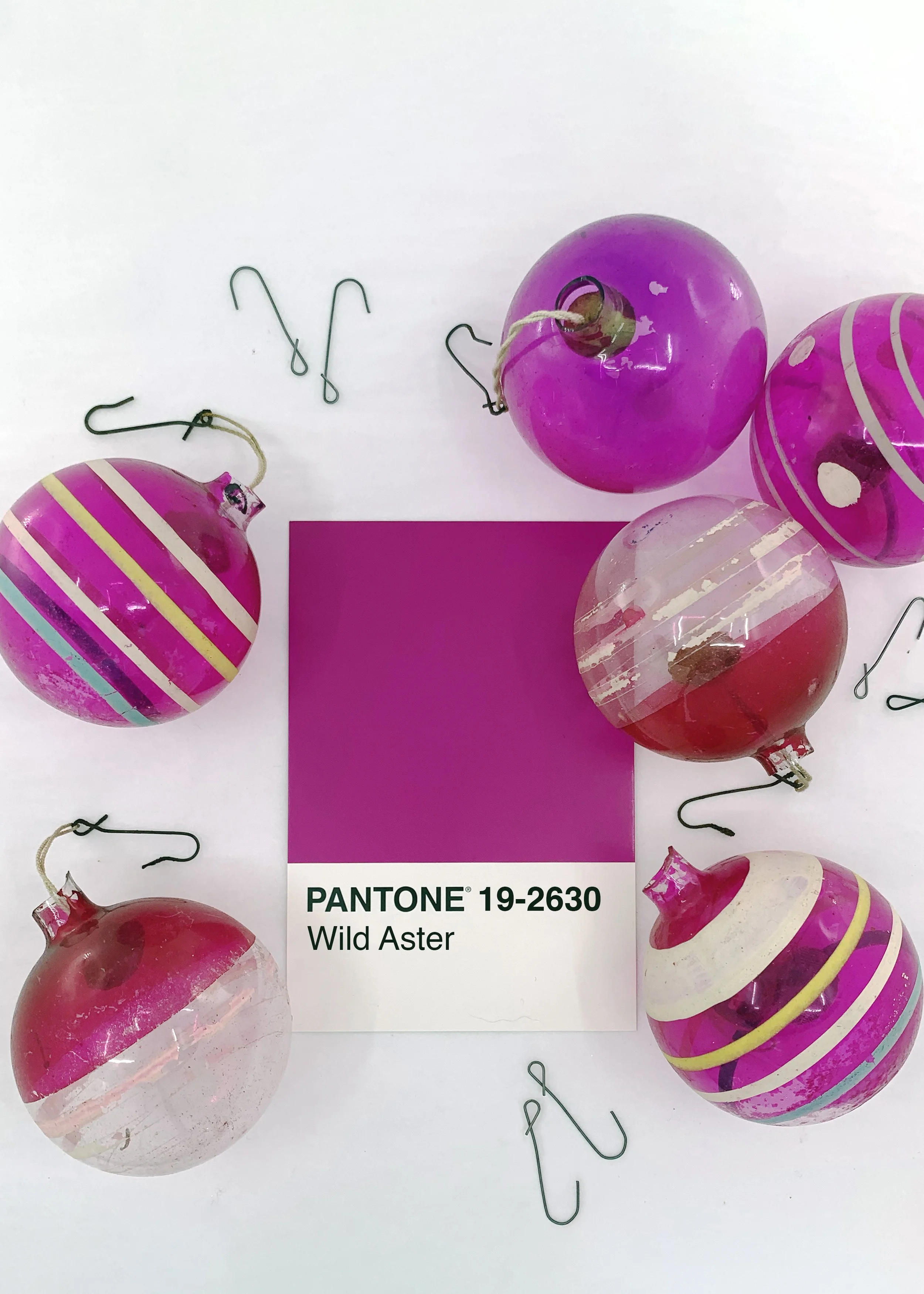 Pantone 19-2630 Wild Aster Holiday Greeting Card — Sizemore Color